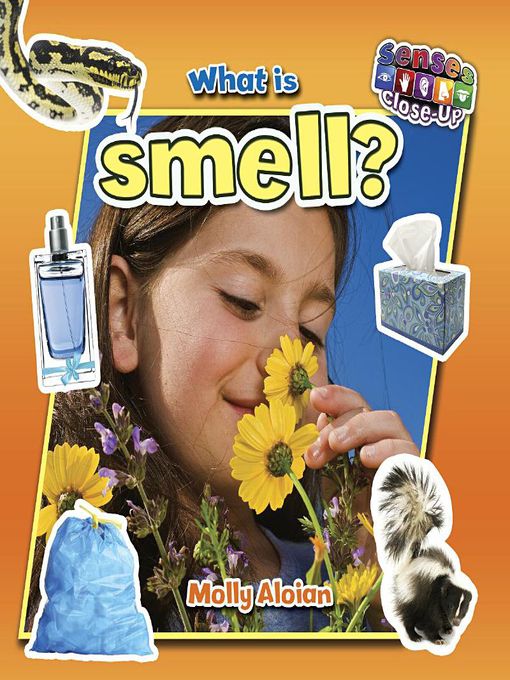Title details for What is smell? by Molly Aloian - Wait list
